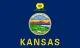 Kansas flag